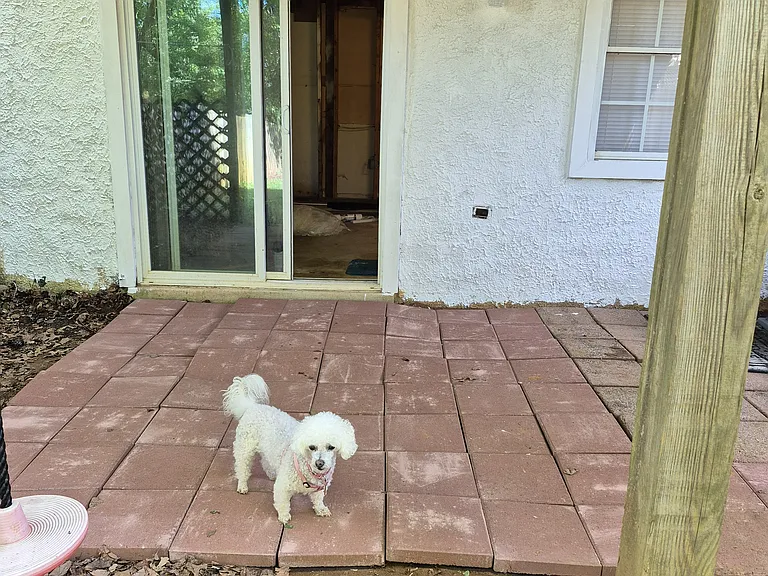 Paver patio