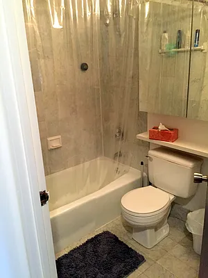 Rented by Manhattan Skyline | media 20