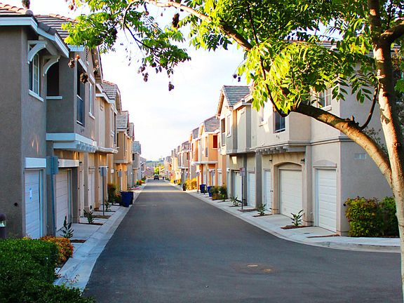 Quiet street, lots of green 