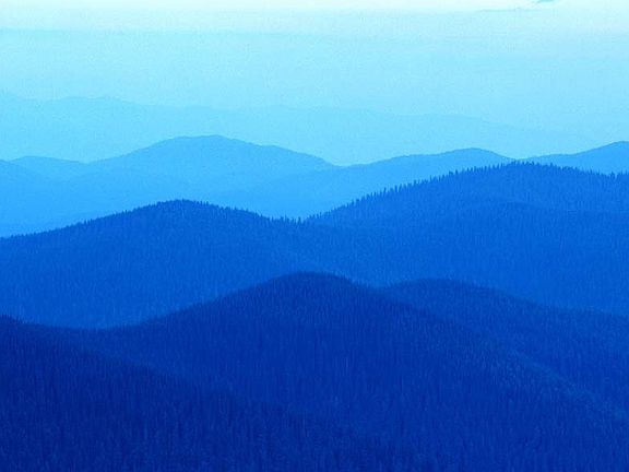 You'll Love Our Views; They're So Calming