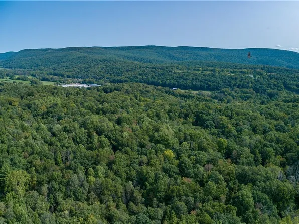 Route 22, Wingdale, NY 12522