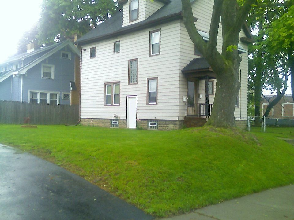 rear of house