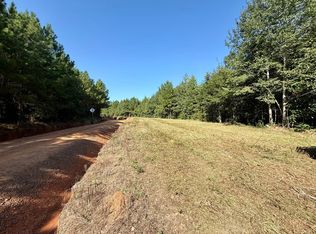 Holt Rd, Elko, GA 31025