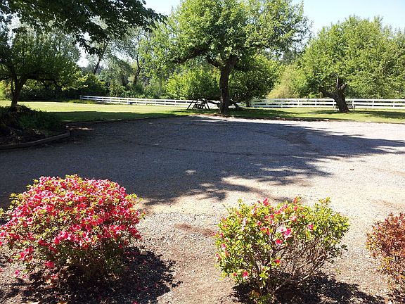 Common area behind the house