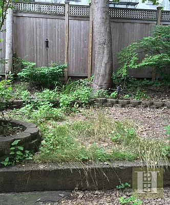 Rented by Halstead Real Estate | media 3