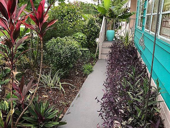 Designer landscaping 