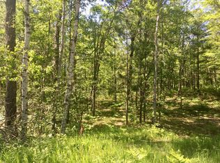 5349 Woodridge Dr, Lewiston, MI 49756
