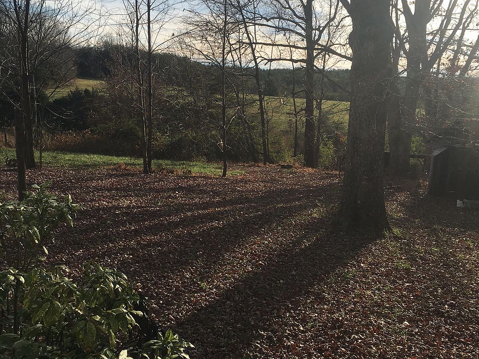 View from Back of House