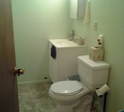 Basement Bathroom