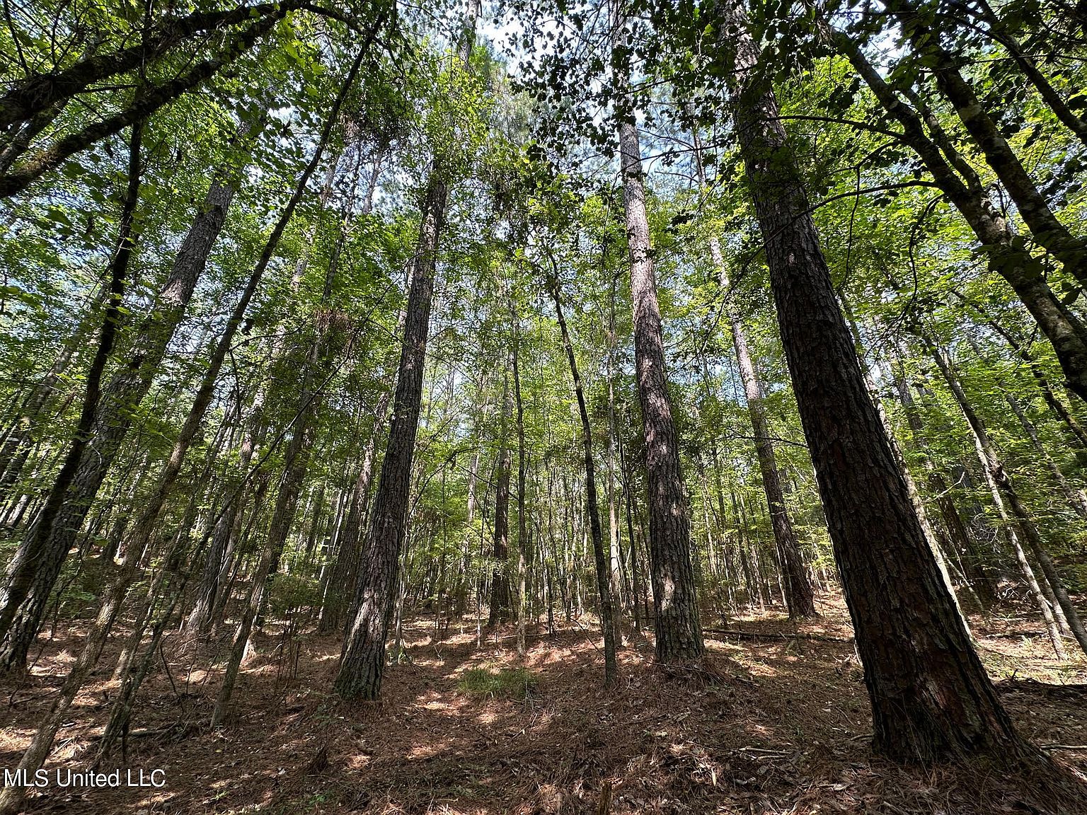 Terry Rd, Kosciusko, MS 39090 Zillow