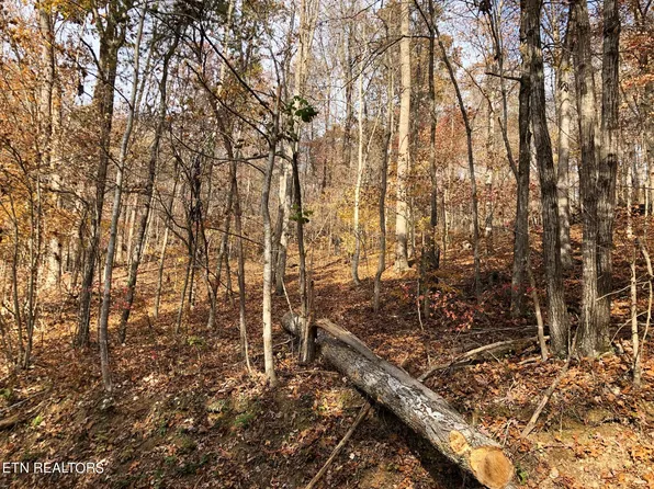 LOT 51 Harbor Ln, La Follette, TN 37766