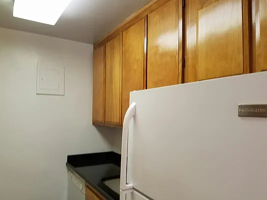 Rented by Manhattan Apartment Organization | media 41