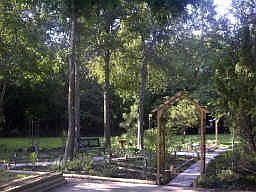 2nd image of 3207 Lake Shadows Dr