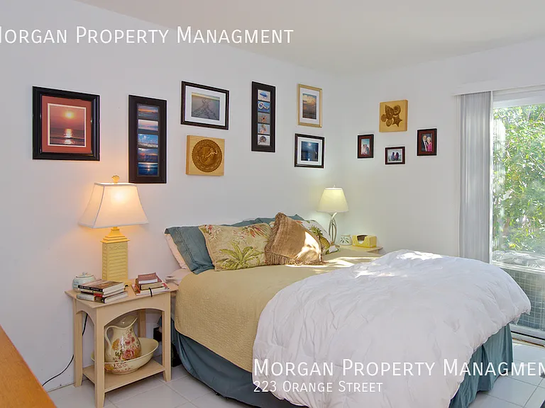 223 Orange St — Photo 7