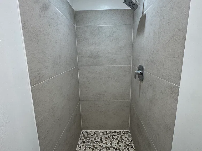 Primary Bathroom Shower
