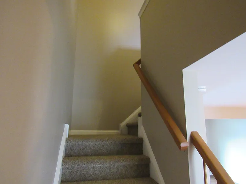 Thumbnail 15