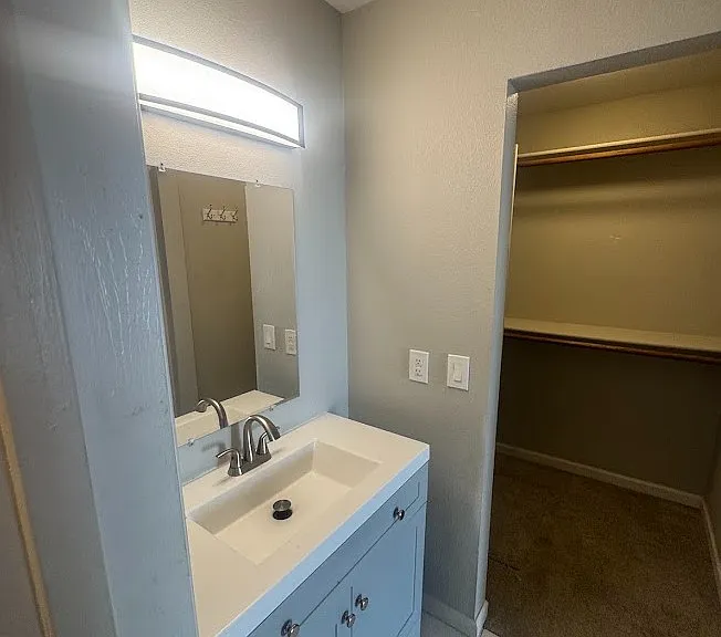 Master Sink and Closet