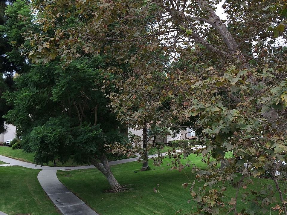 1st image of 1439 Iguana Cir