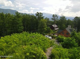 Pine Top Ln, Gatlinburg, TN 37738