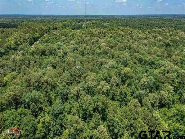 Fm 3135 E #3ACRES, Henderson, TX 75652