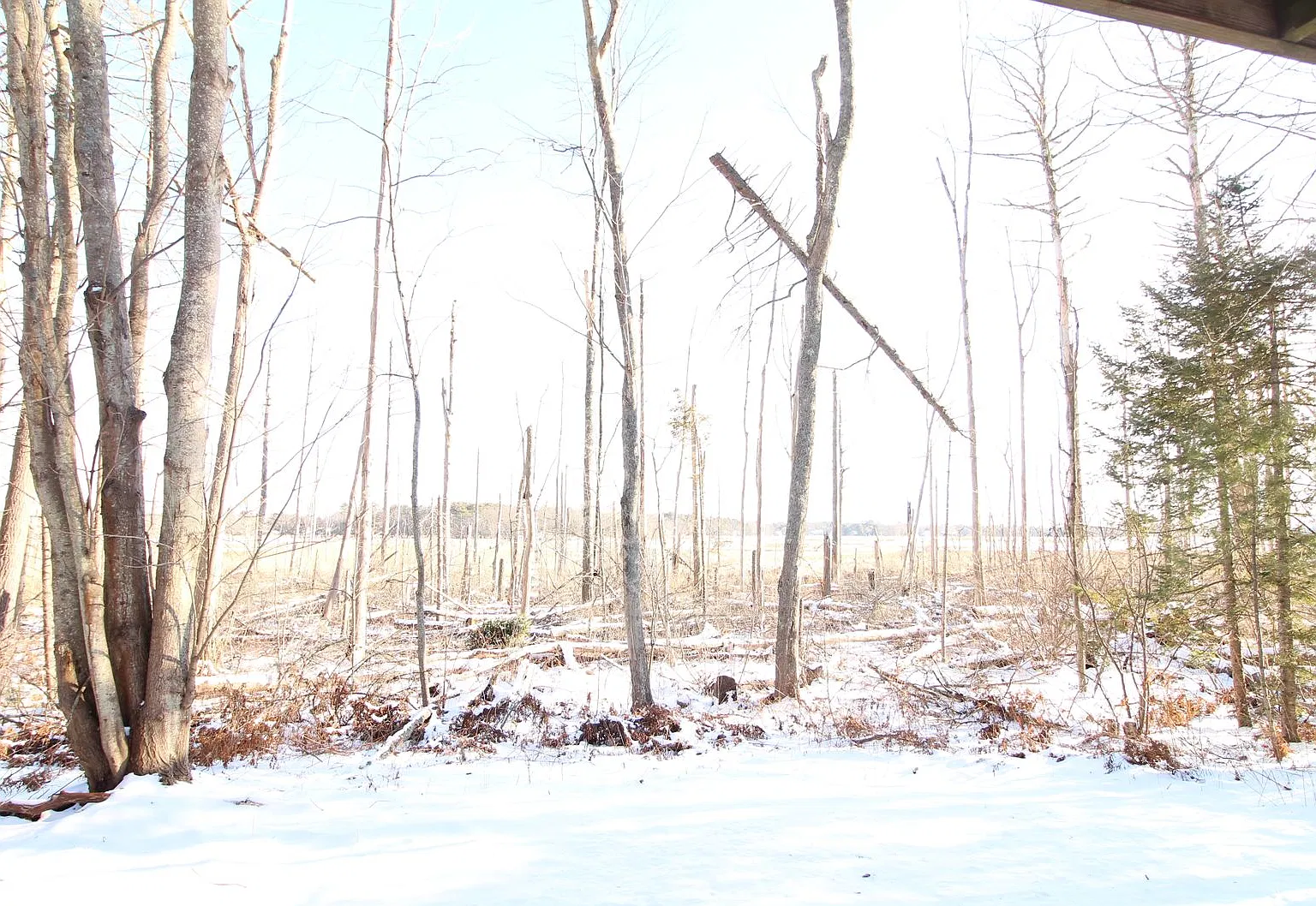 30 Winnocks Neck — Photo 2