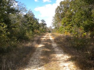 Doherty Store Rd, Big sandy, TN 38221