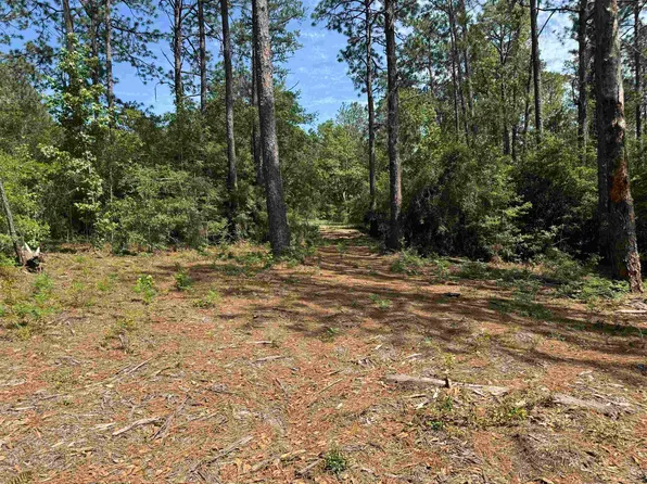 565 Sparkleberry, Brookeland, TX 75931