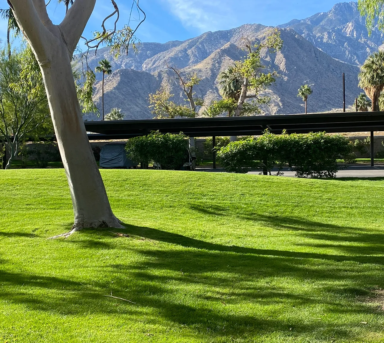 1 bed, 589 sqft, $1,800 — Photo 4