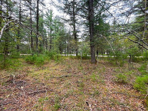 3rd image of LOT 229 Forest Dr