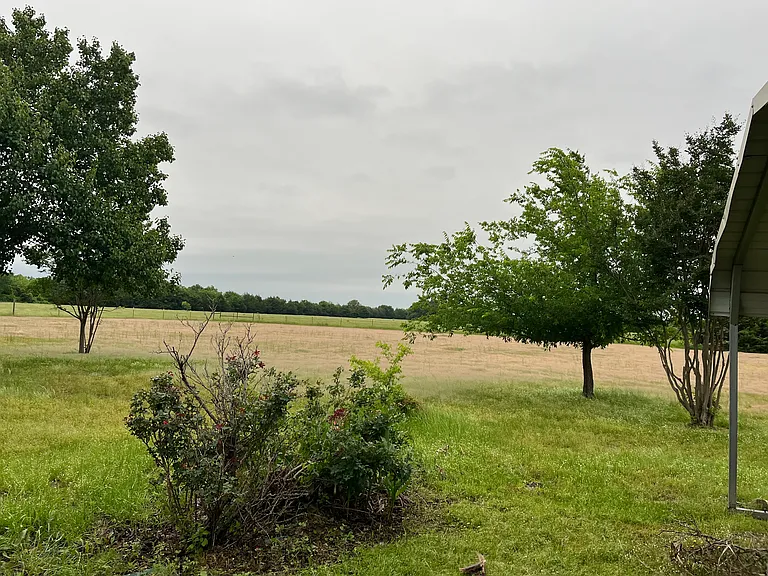View of the property!