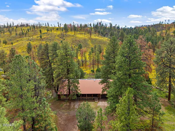41005 State Highway 261b, Eagar, AZ 85925