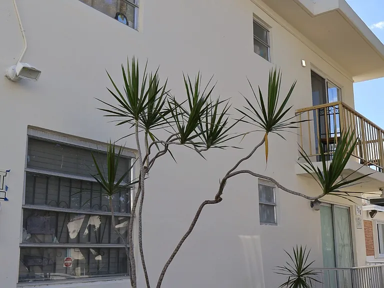 528 SW 6th St #6 — Photo 6