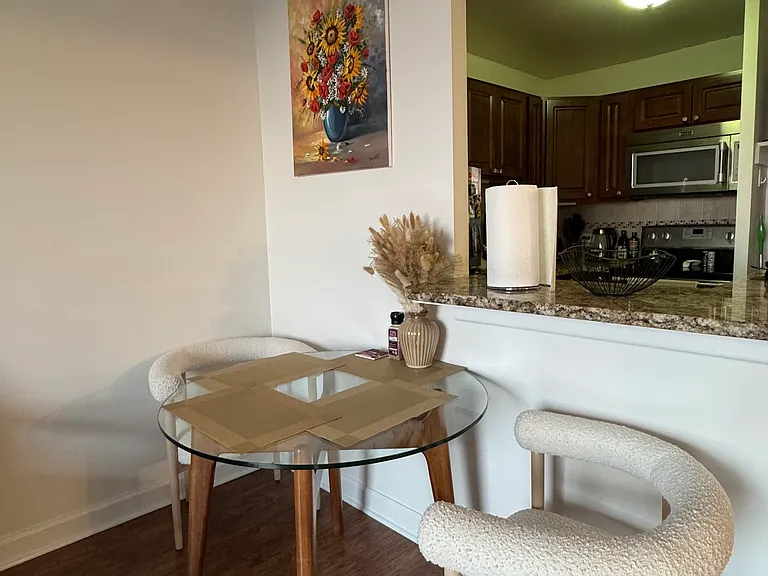 1455 N Sandburg Ter #1207 — Photo 11