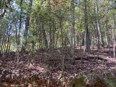 21 Vista Chalet Dr, Ellijay, GA, 30540