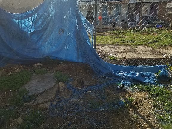 3rd image of 3420 Tampa St