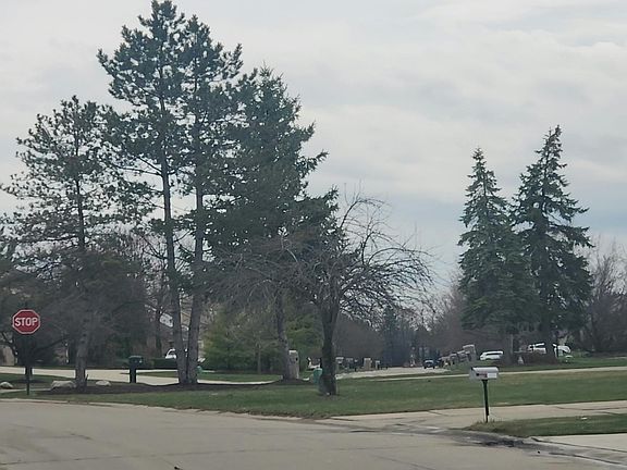 5th image of 7043 Timberview Trl