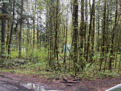 E Vine Ave, Rhododendron, OR, 97049