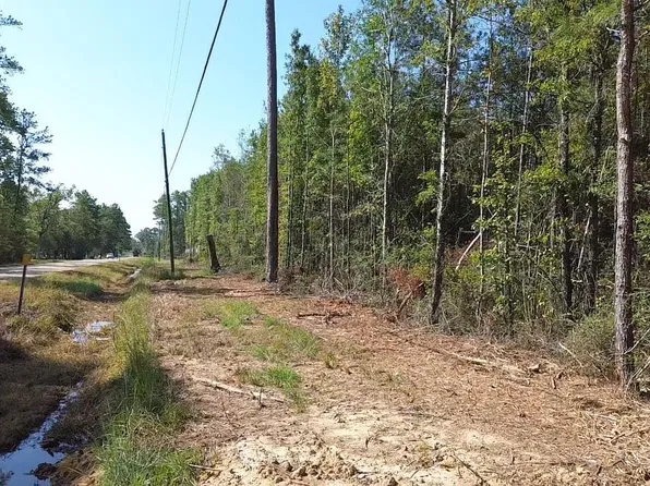 TRACT One R C La Hwy Lot 43, Independence, LA 70443