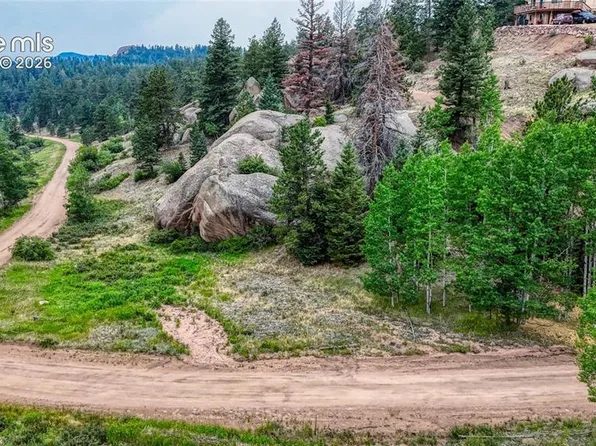 830 Pinon Ln, Florissant, CO 80816