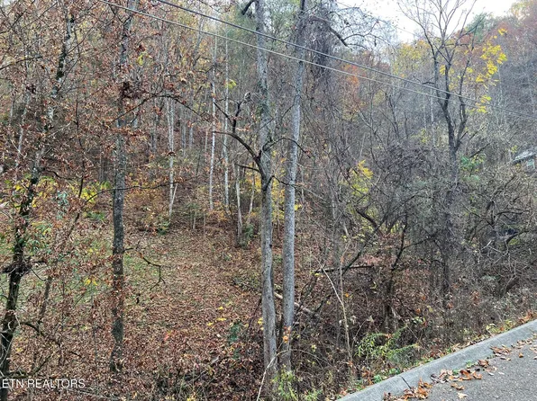 0 Pulaski Ln Lot 6, Sevierville, TN 37862