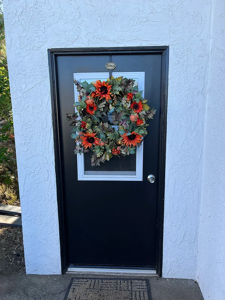30644 Alta Mesa Dr — Photo 2