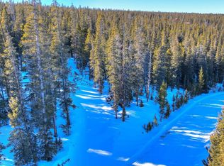 239 Puma Pl, Fairplay, CO 80440