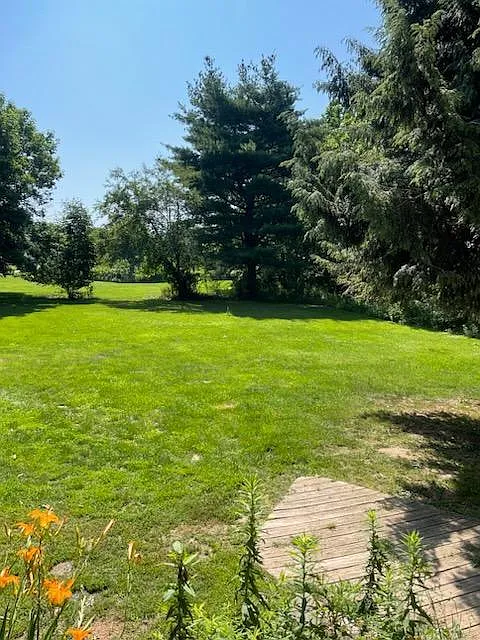 3 bed, $2,000 — Photo 4