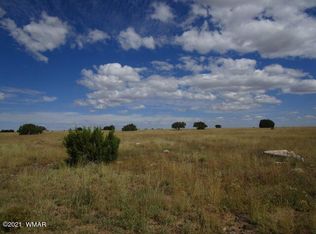 21 County Road 5076, Concho, AZ 85924