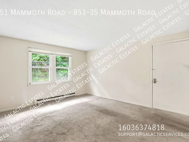851 Mammoth Rd #3S — Photo 6