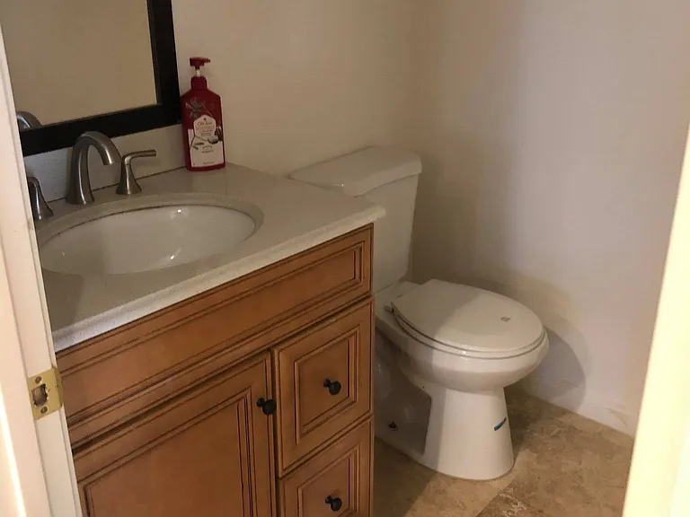 Downstairs half bathroom