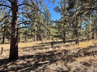 140 Haystack Rd, Hartsel, CO 80449