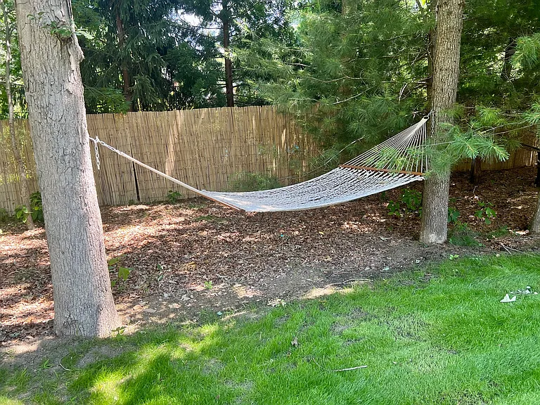 253 Norfolk Dr — Photo 30