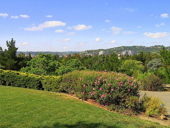 View from front looking west toward downtown Walnut Creek