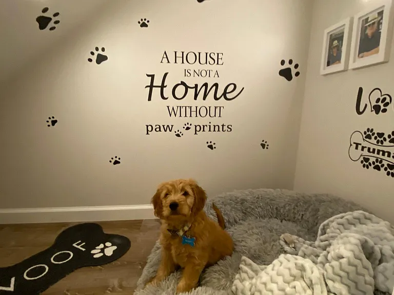 136 Pennystone Cir #136 — Photo 26